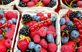 fructe de padure